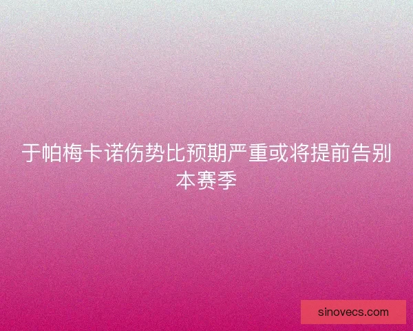 于帕梅卡诺伤势比预期严重或将提前告别本赛季