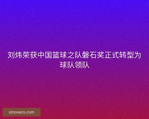 刘炜荣获中国篮球之队磐石奖正式转型为球队领队