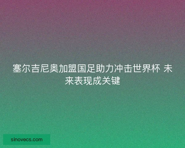 塞尔吉尼奥加盟国足助力冲击世界杯 未来表现成关键